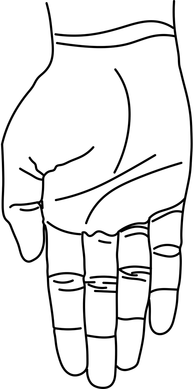 postural magnetico